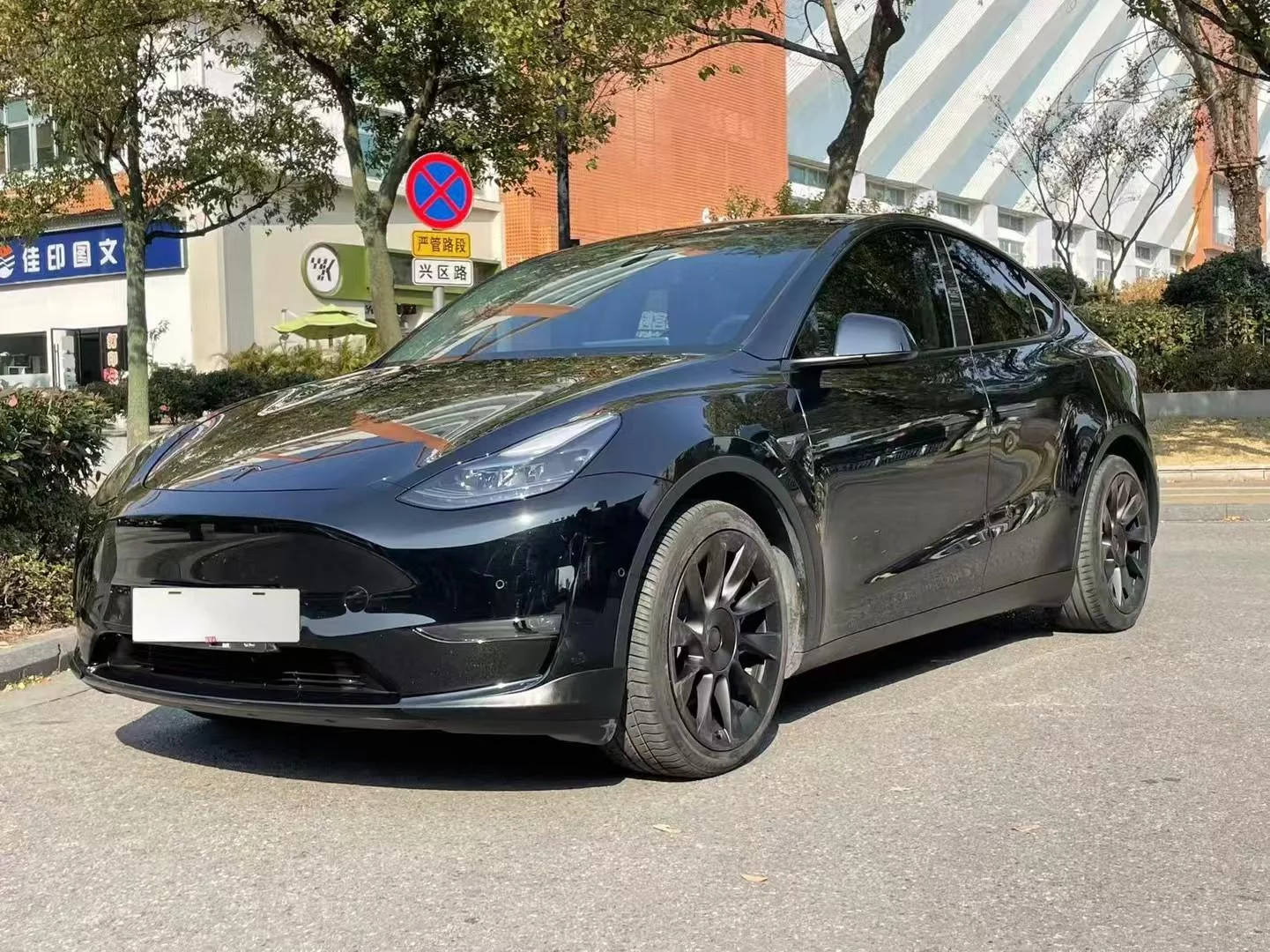 TESLA MODEL Y