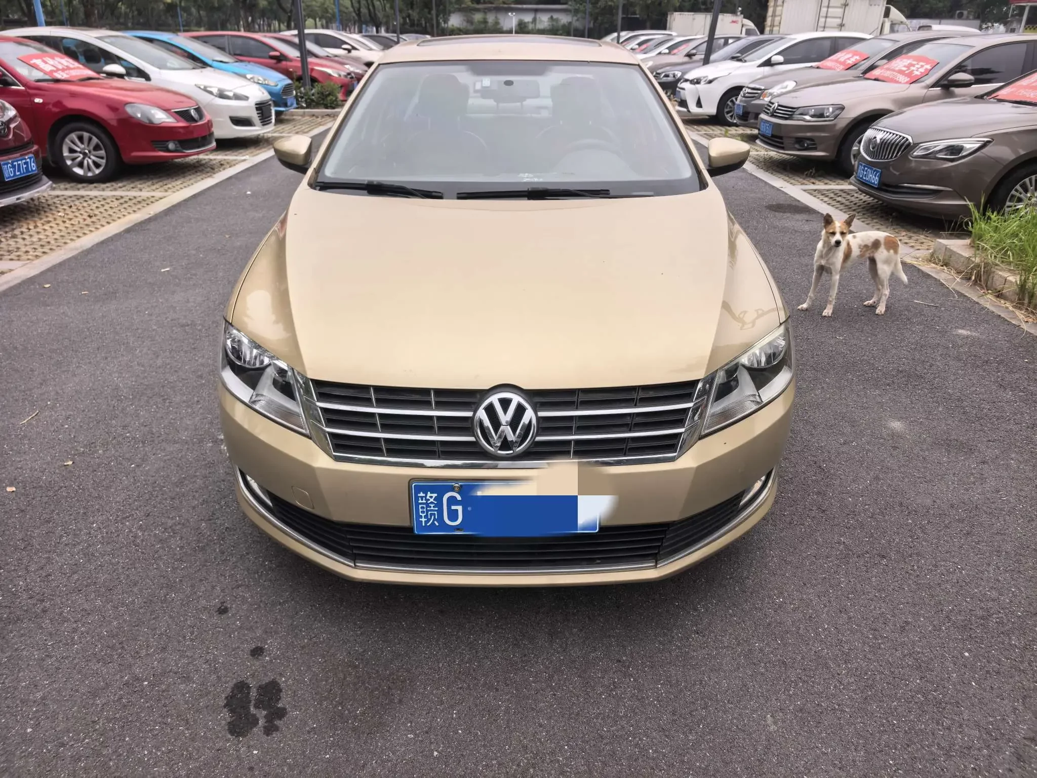 Volkswagen Lavida
