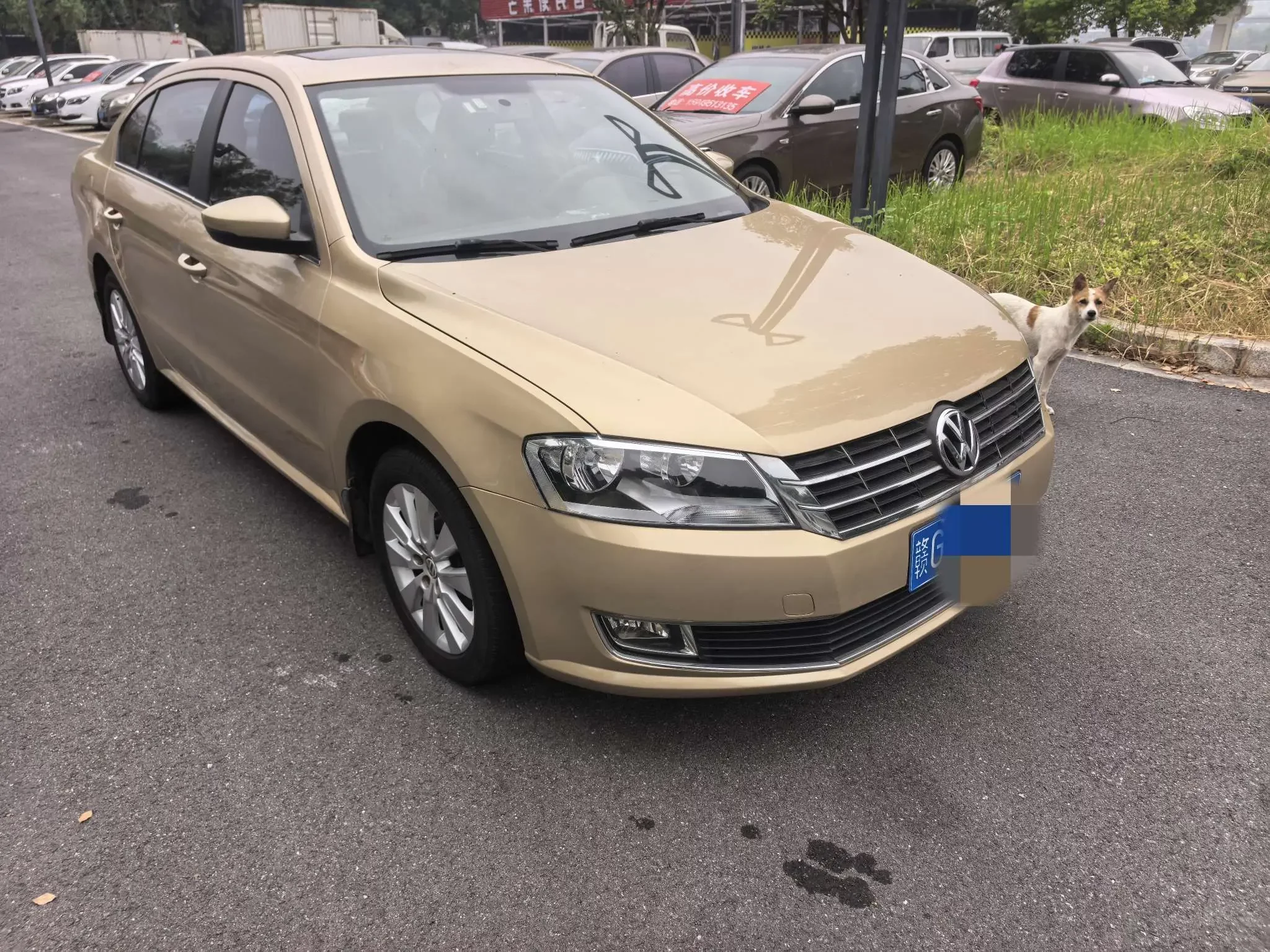 Volkswagen Lavida
