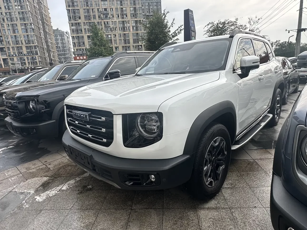 Haval Dargo