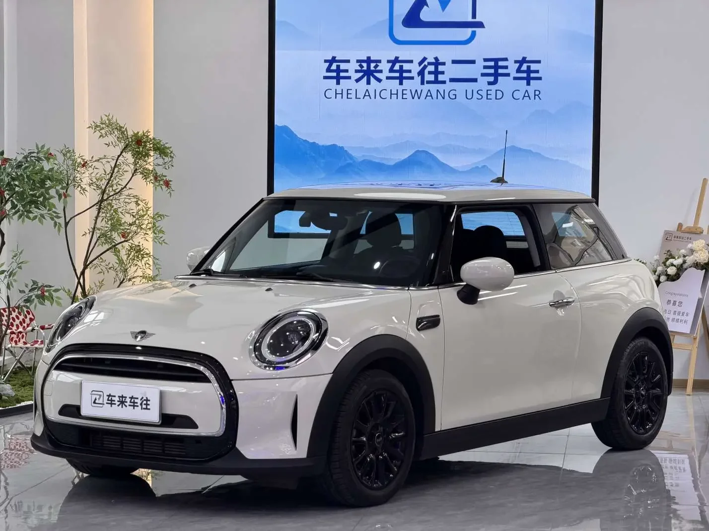 MINI MINI