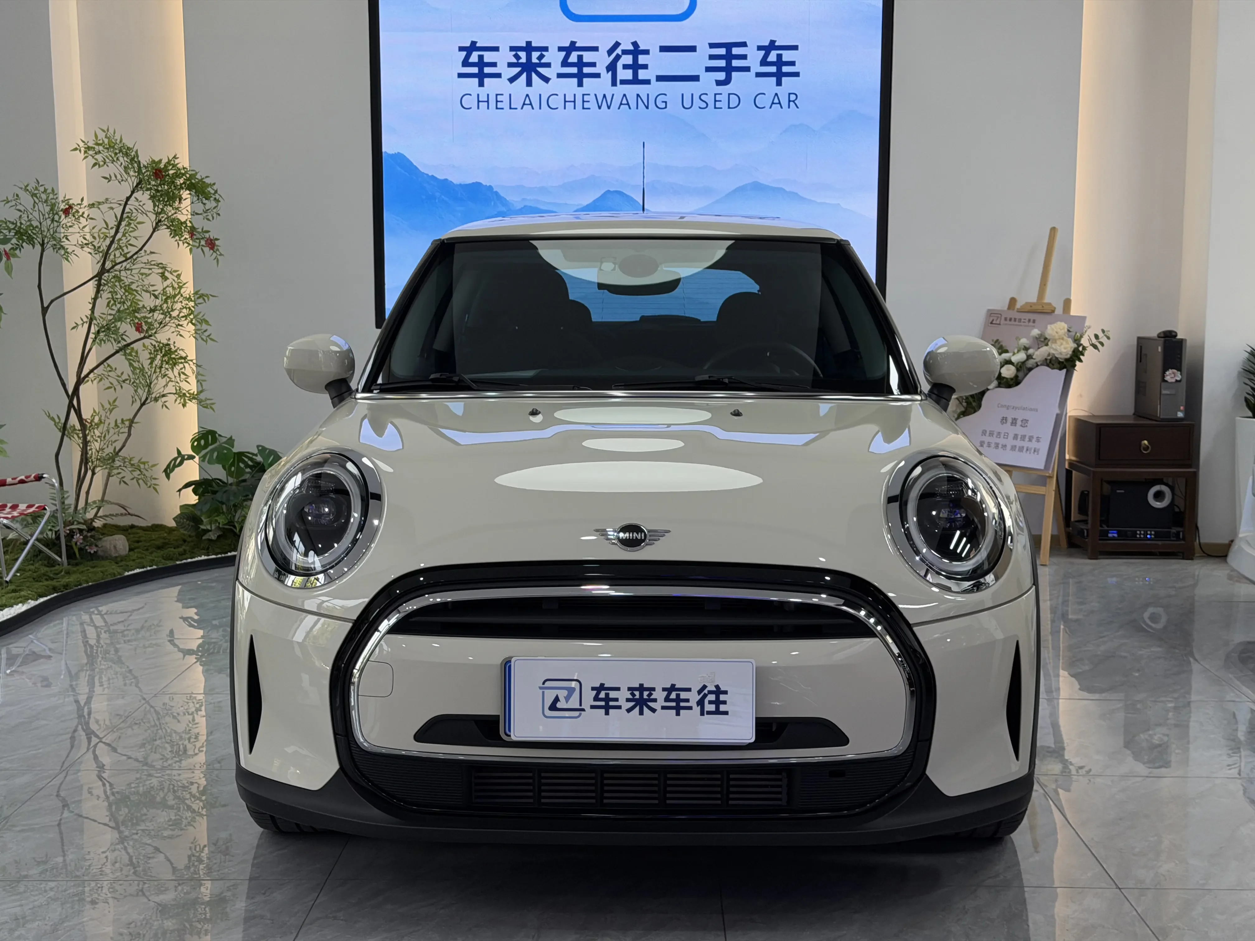 MINI MINI
