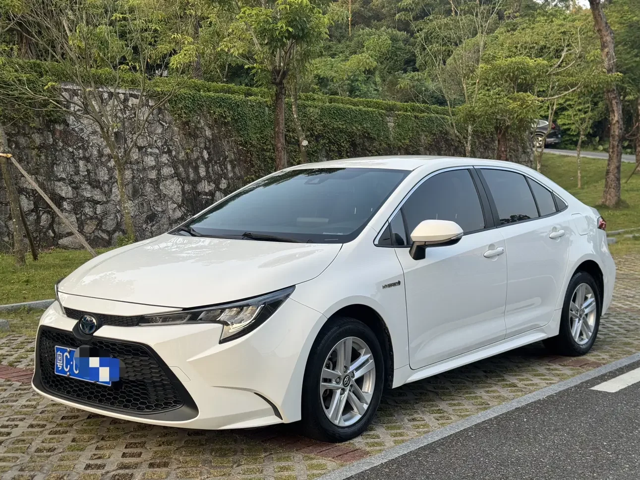 TOYOTA LEVIN