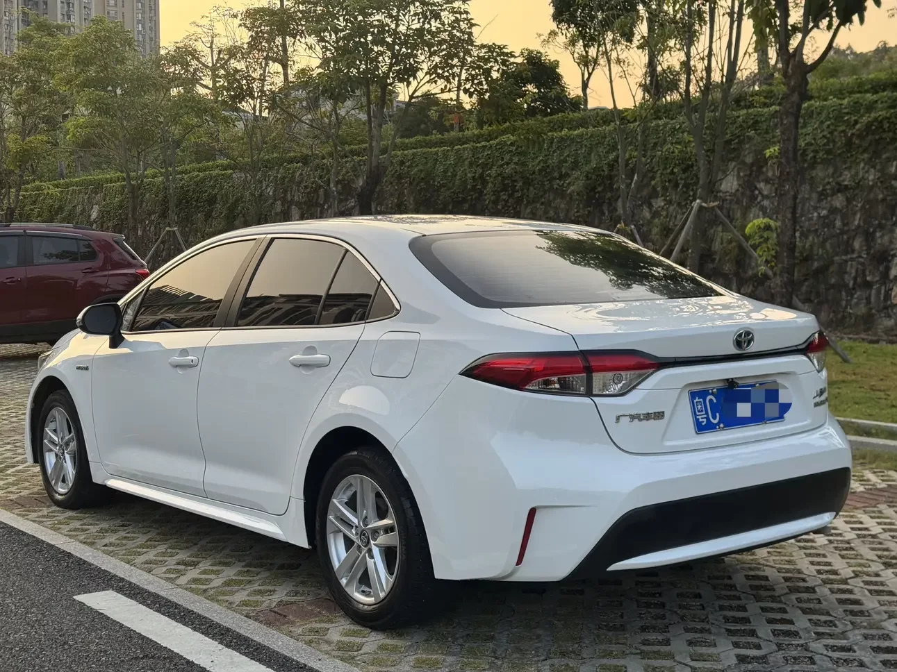 Toyota Levin