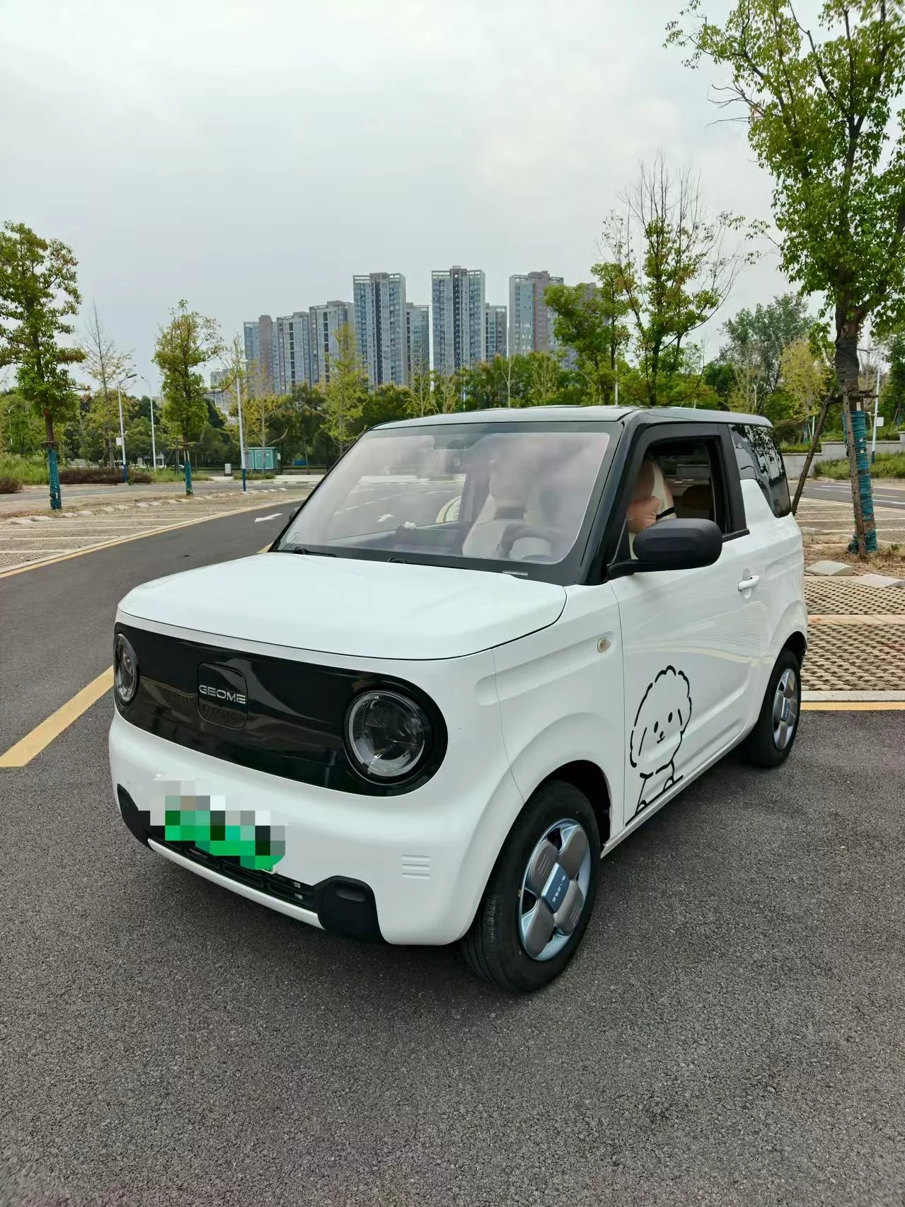 Geely Panda