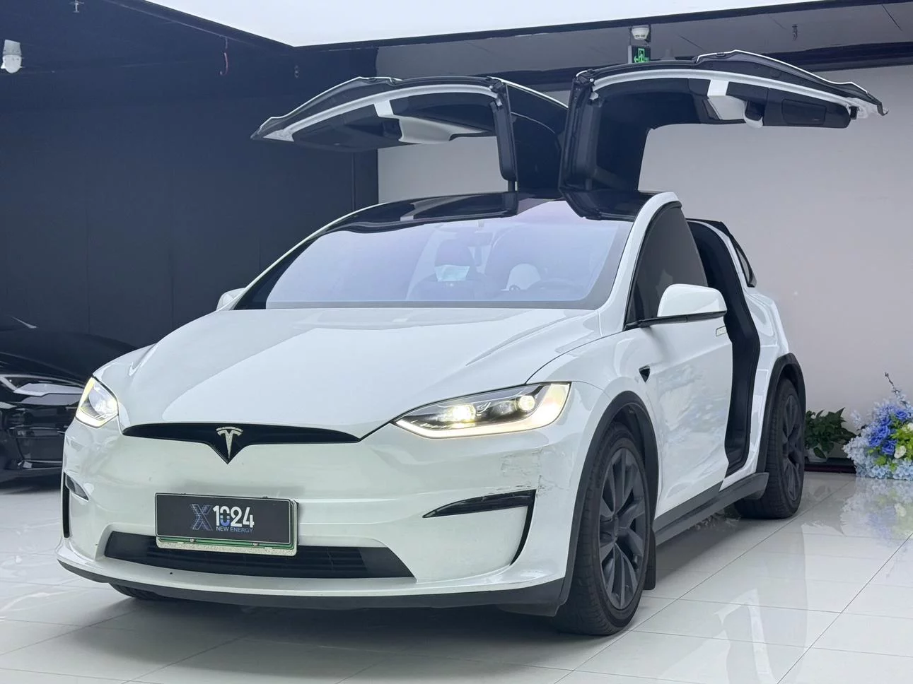 Tesla Model X