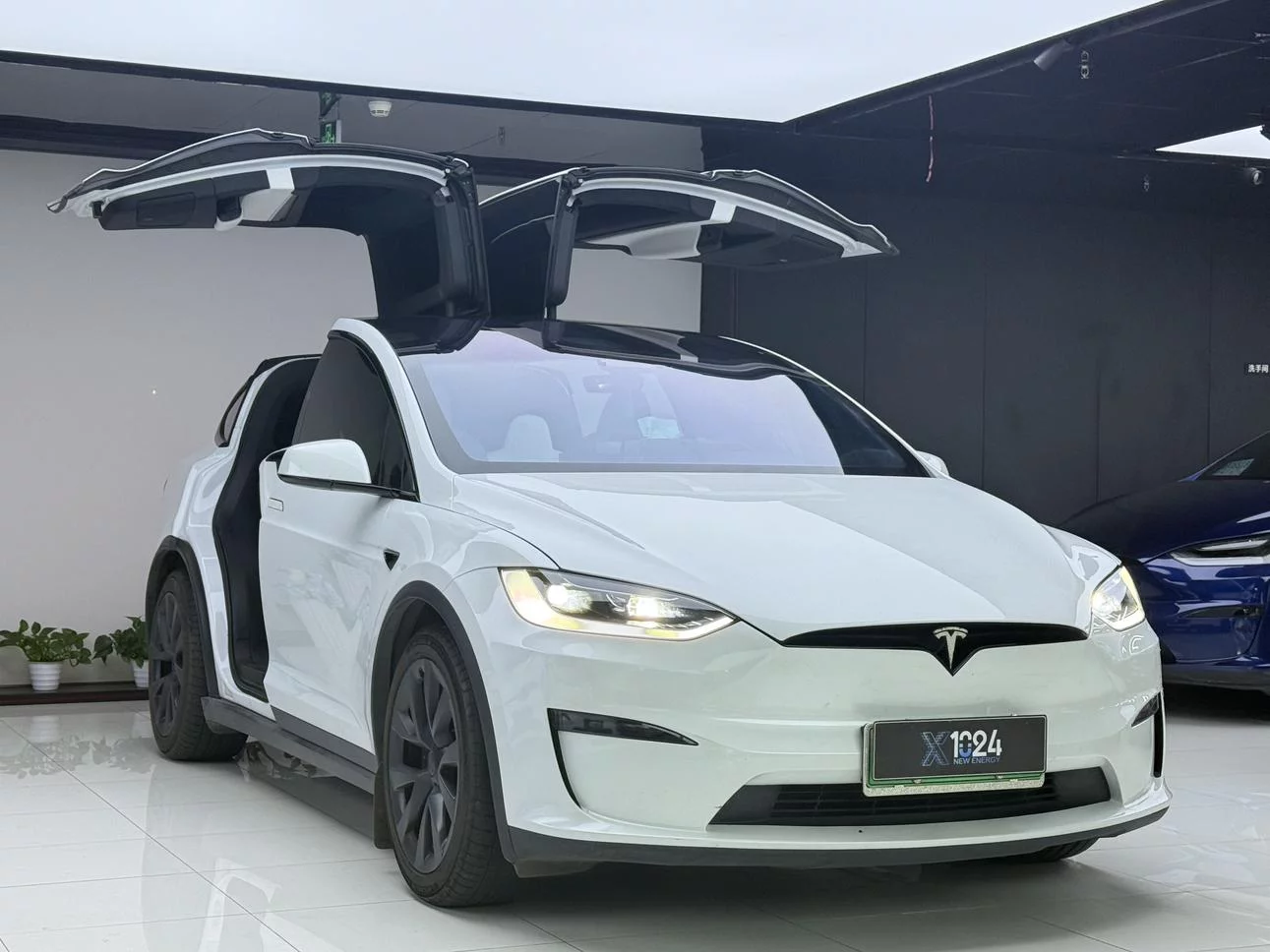 Tesla Model X