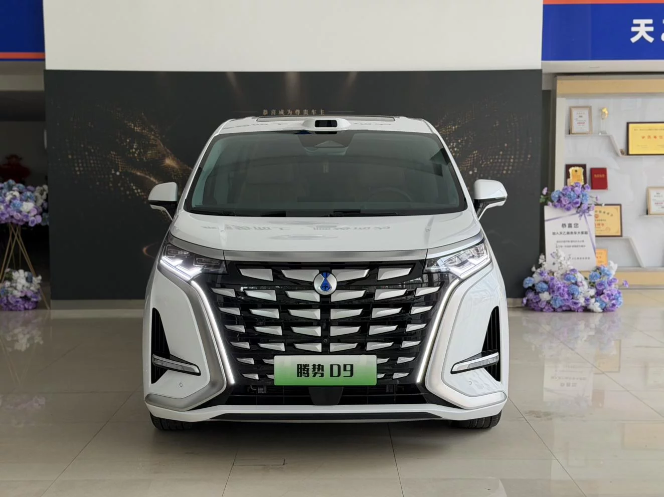 Denza D9 DM
