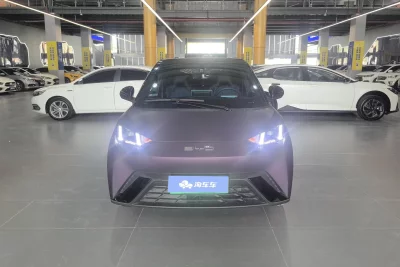 BYD Seagull