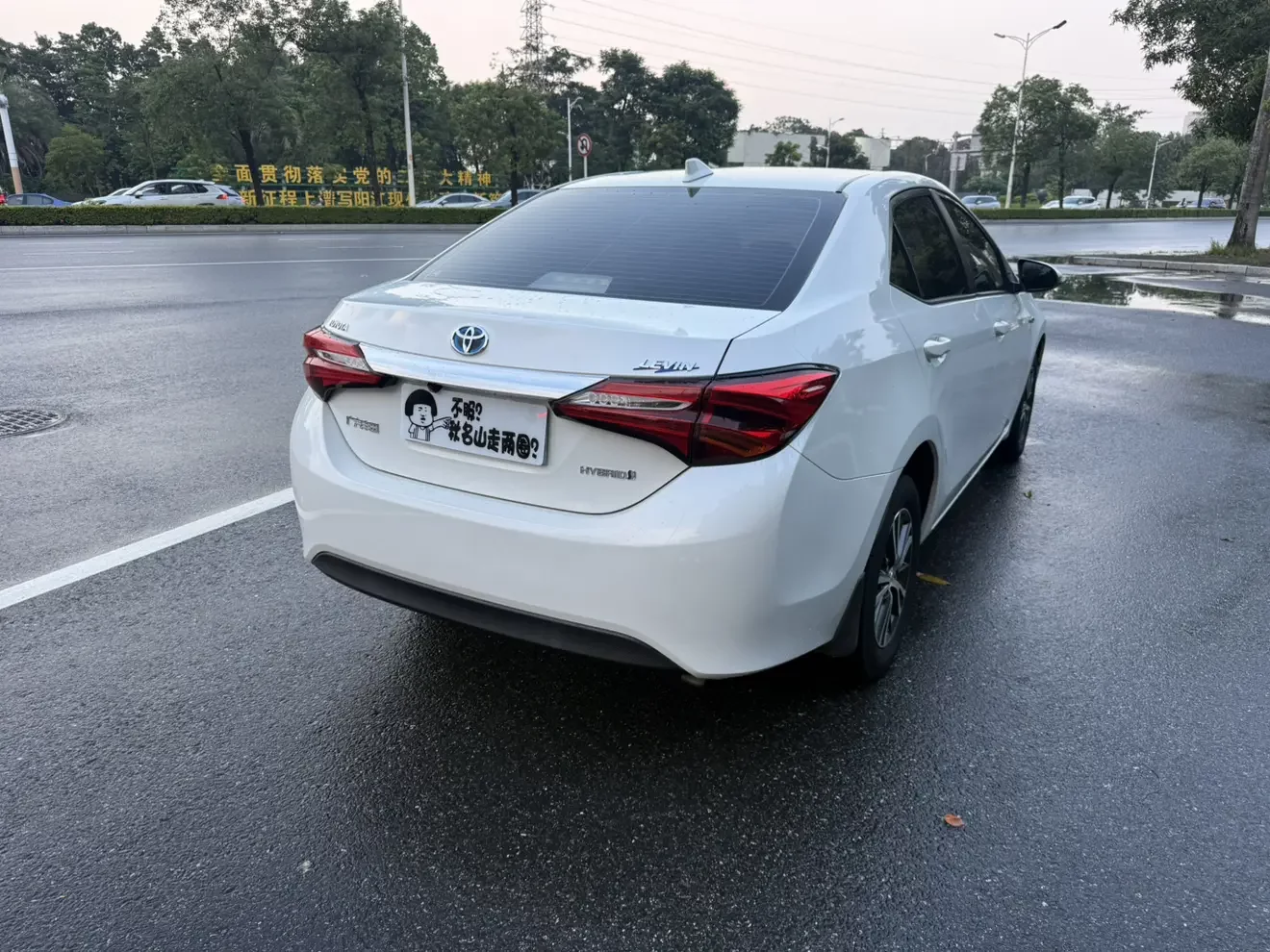 Toyota Levin