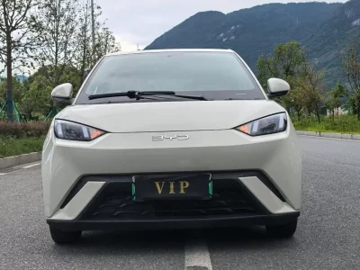 BYD Seagull