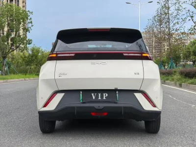 BYD Seagull