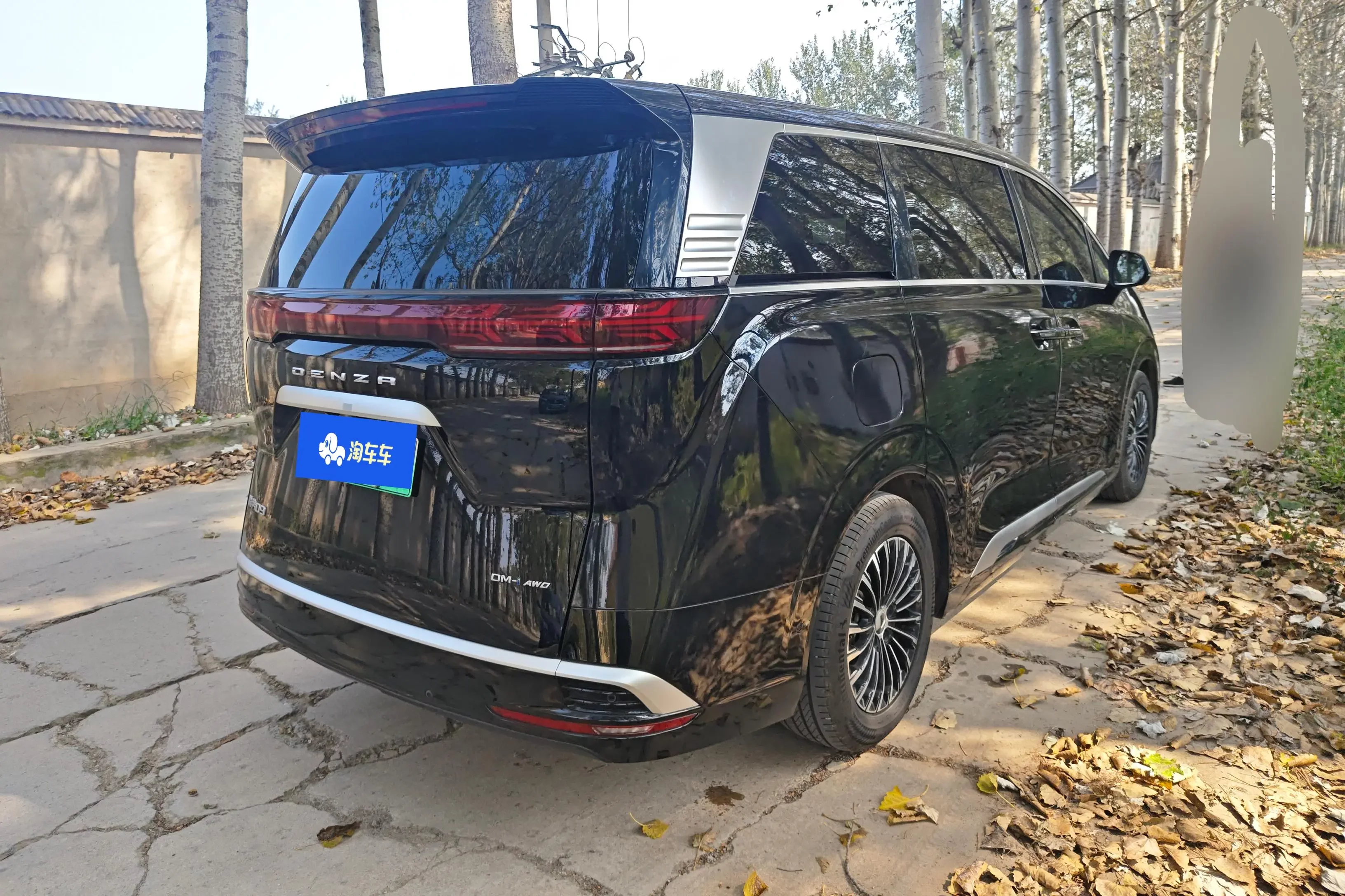 Denza D9 DM