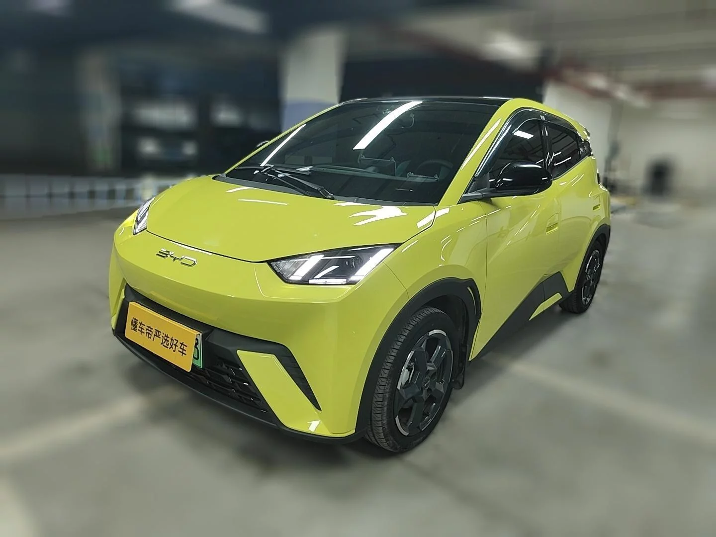 BYD Seagull