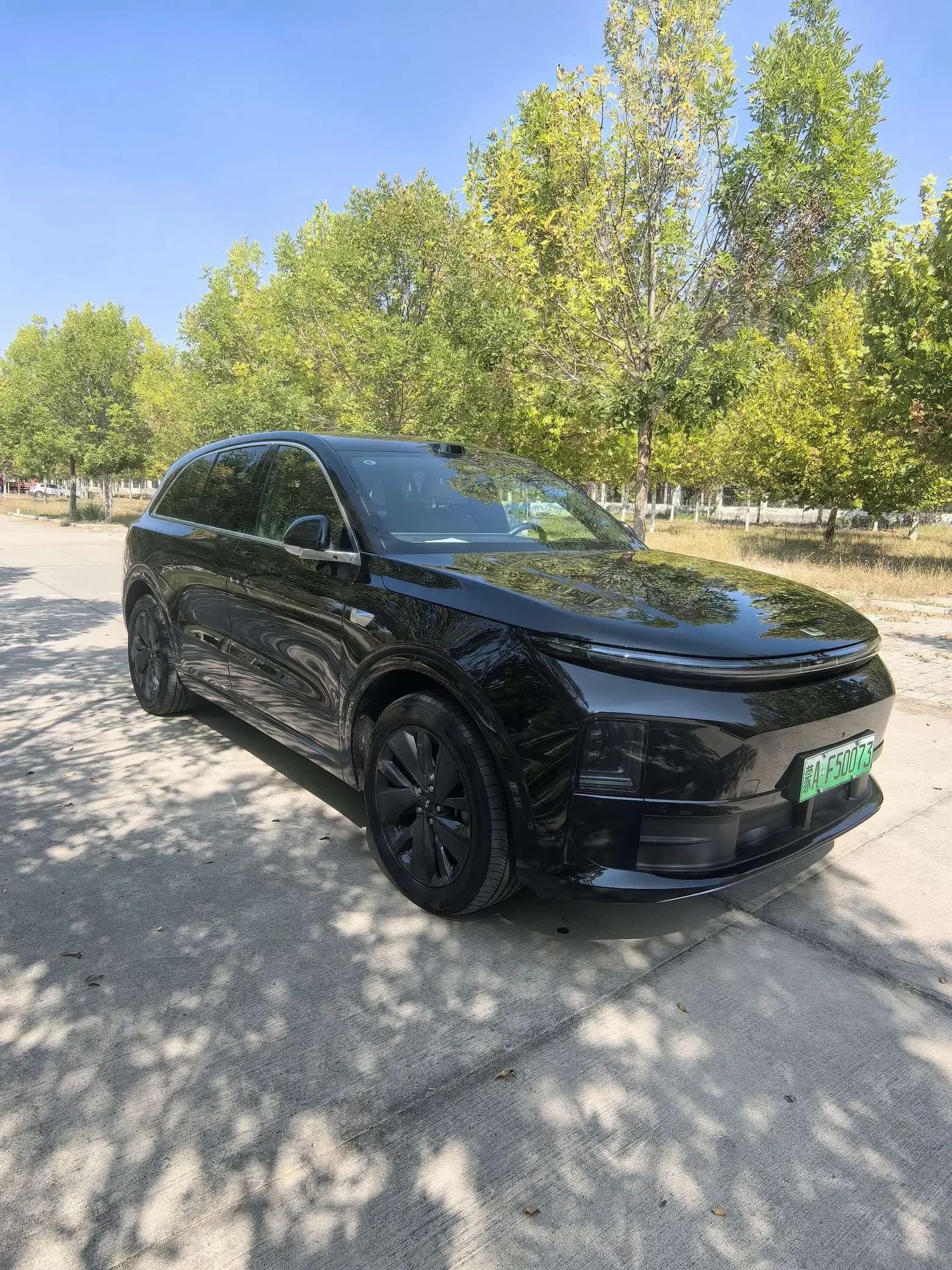 Li L6  из Китая