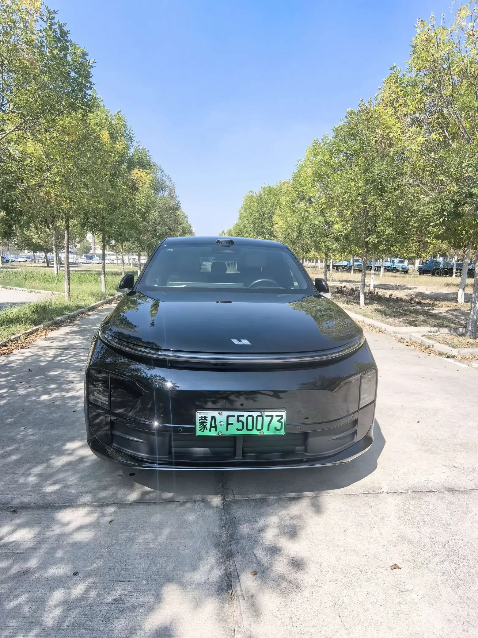 Li L6  из Китая