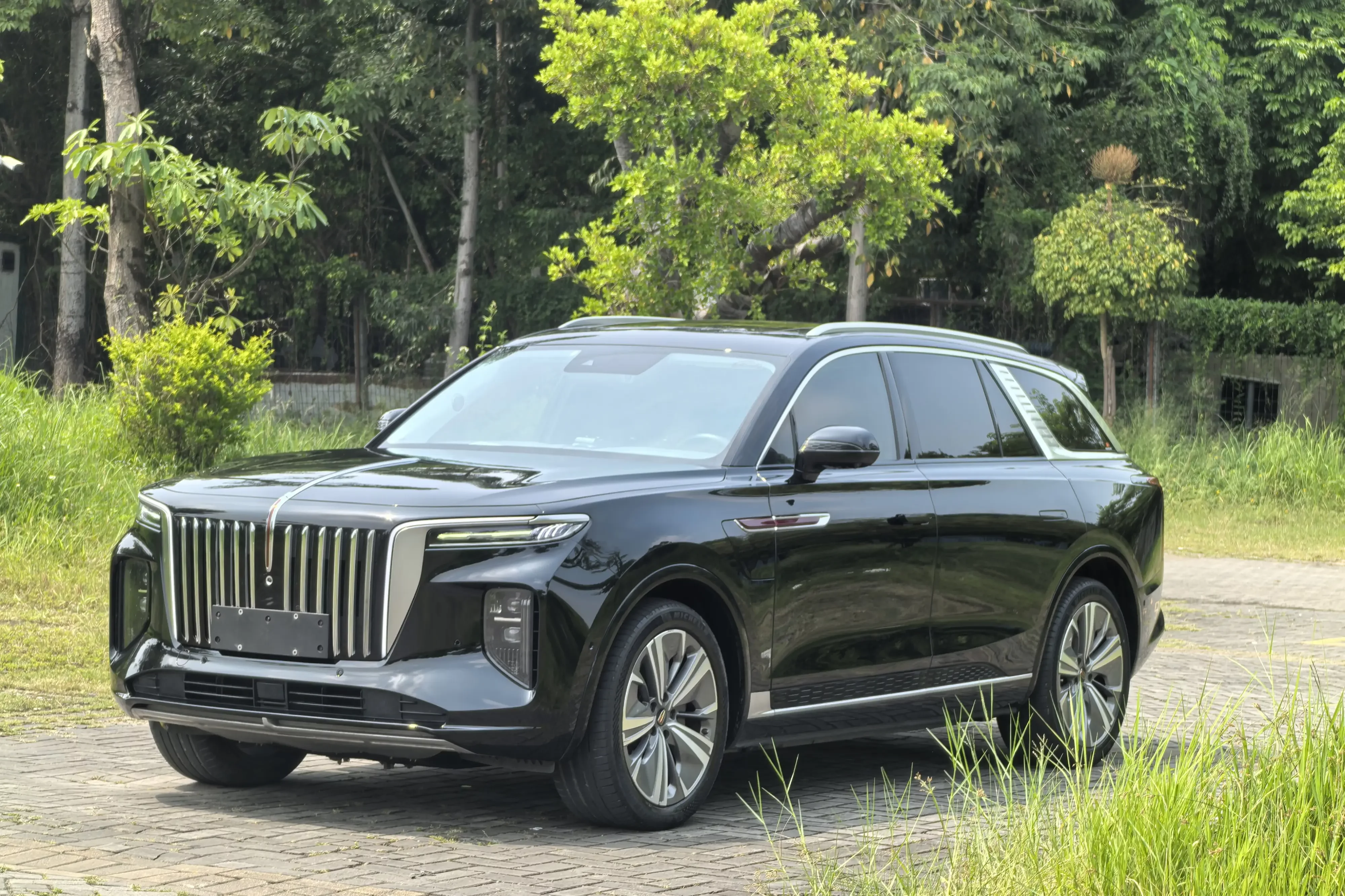 Hongqi E-HS9