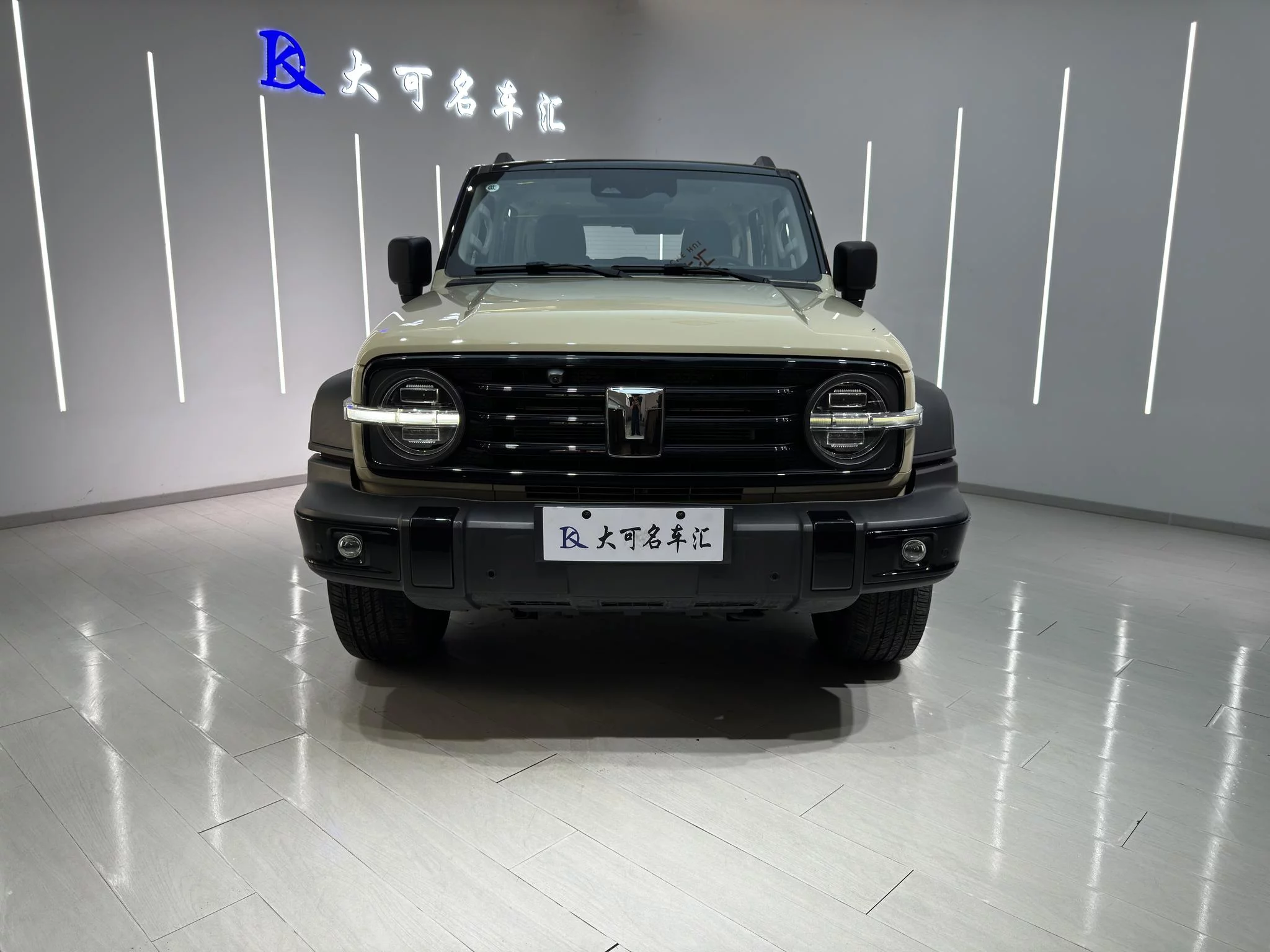 TANK 300 Hi4-T