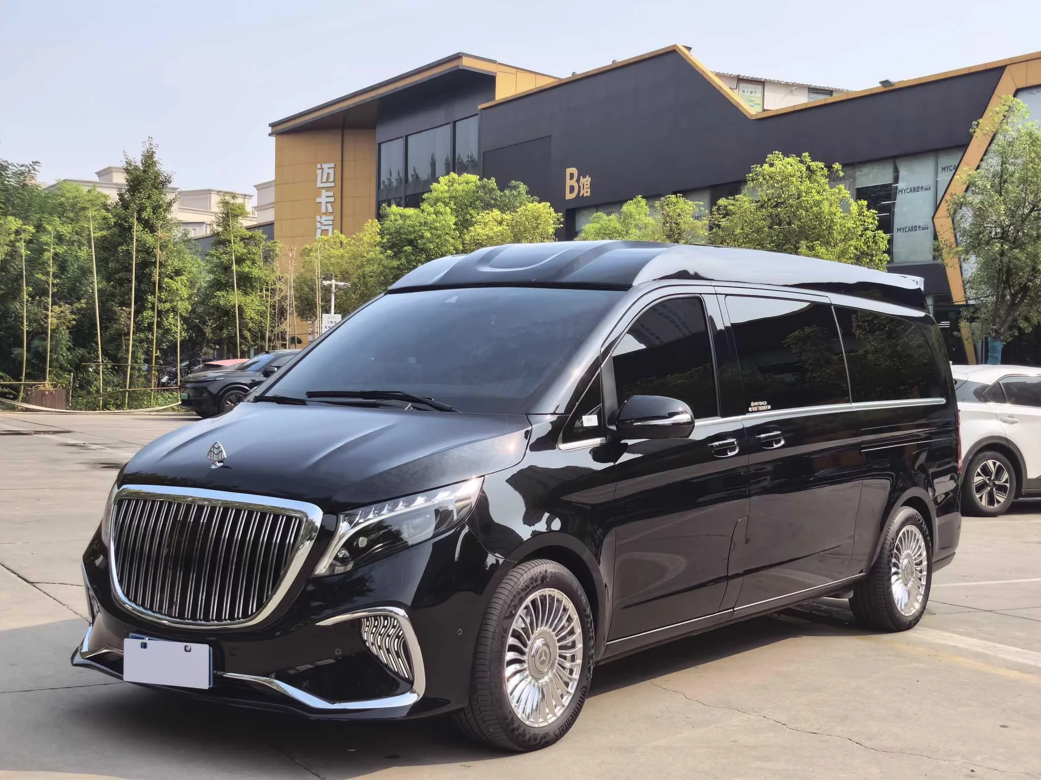 Mercedes-Benz V Class