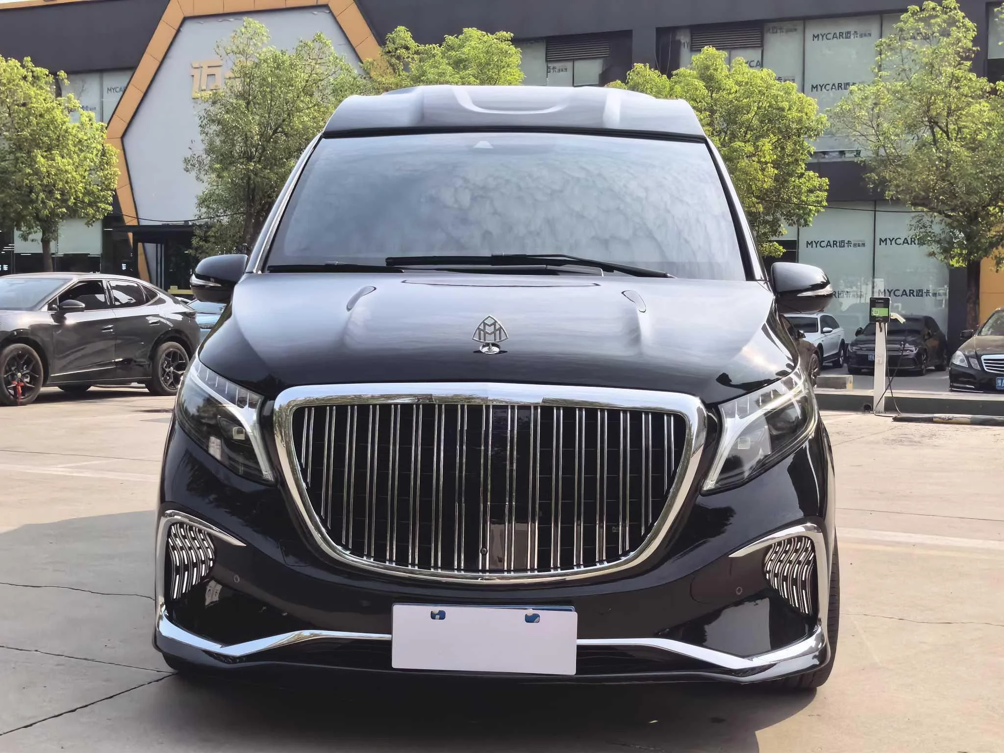 Mercedes-Benz V Class
