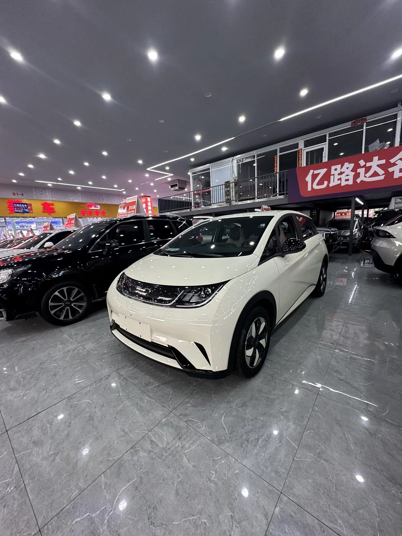 BYD Dolphin