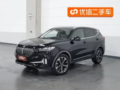 Wey Wei brand VV6