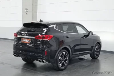 Wey Wei brand VV6
