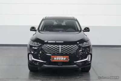 Wey Wei brand VV6