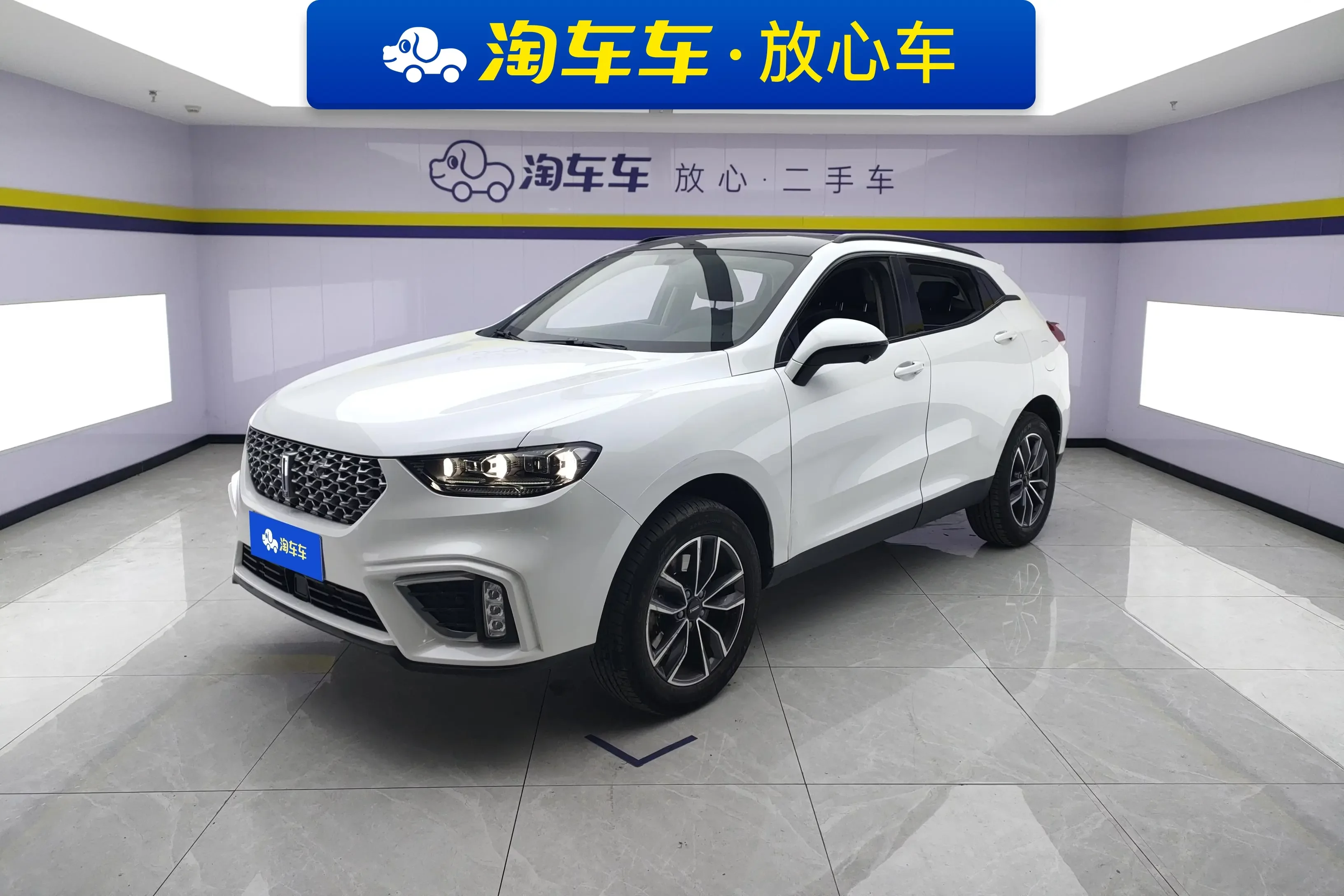 Wey Wei brand VV5