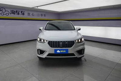 Wey Wei brand VV5