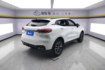 Wey Wei brand VV5