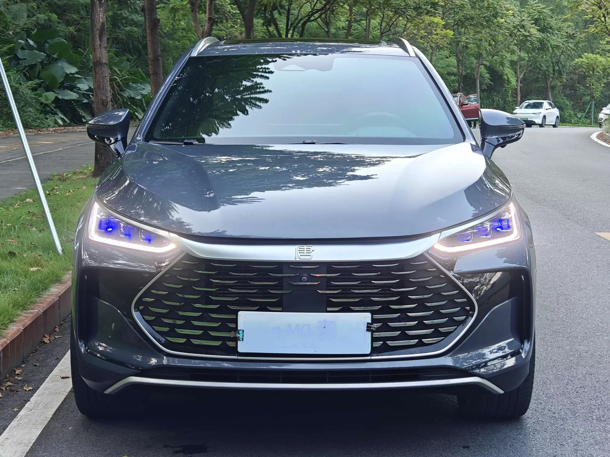 BYD Tang DM