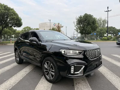Wey Wei brand VV5
