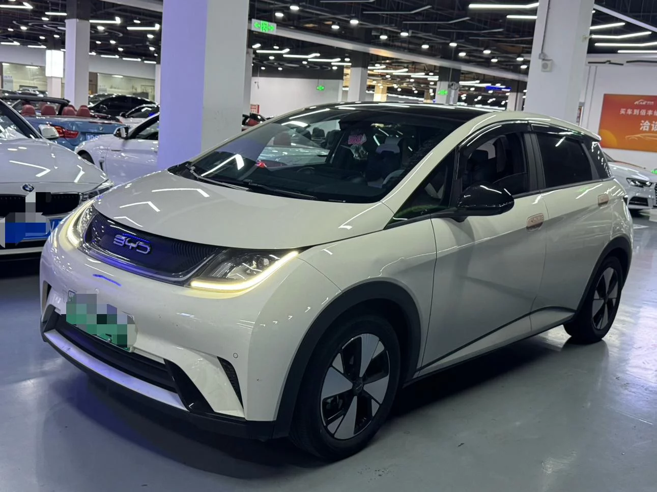 BYD Dolphin