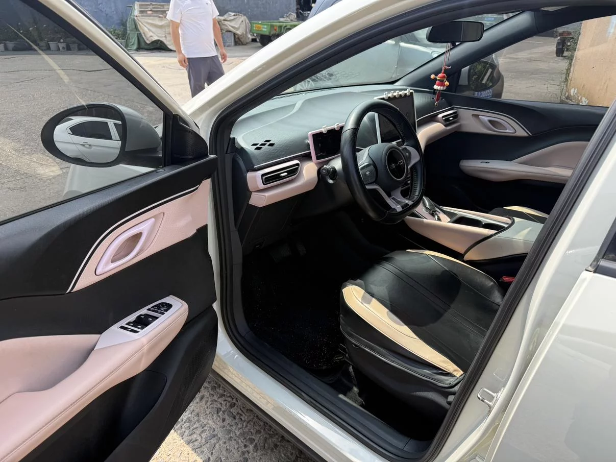 BYD Seagull