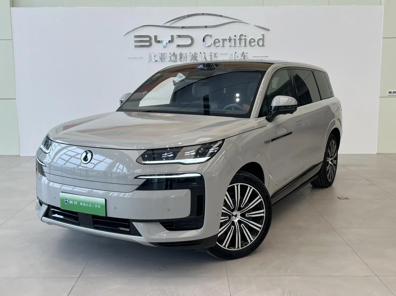 Denza Tengzhong N9 DM