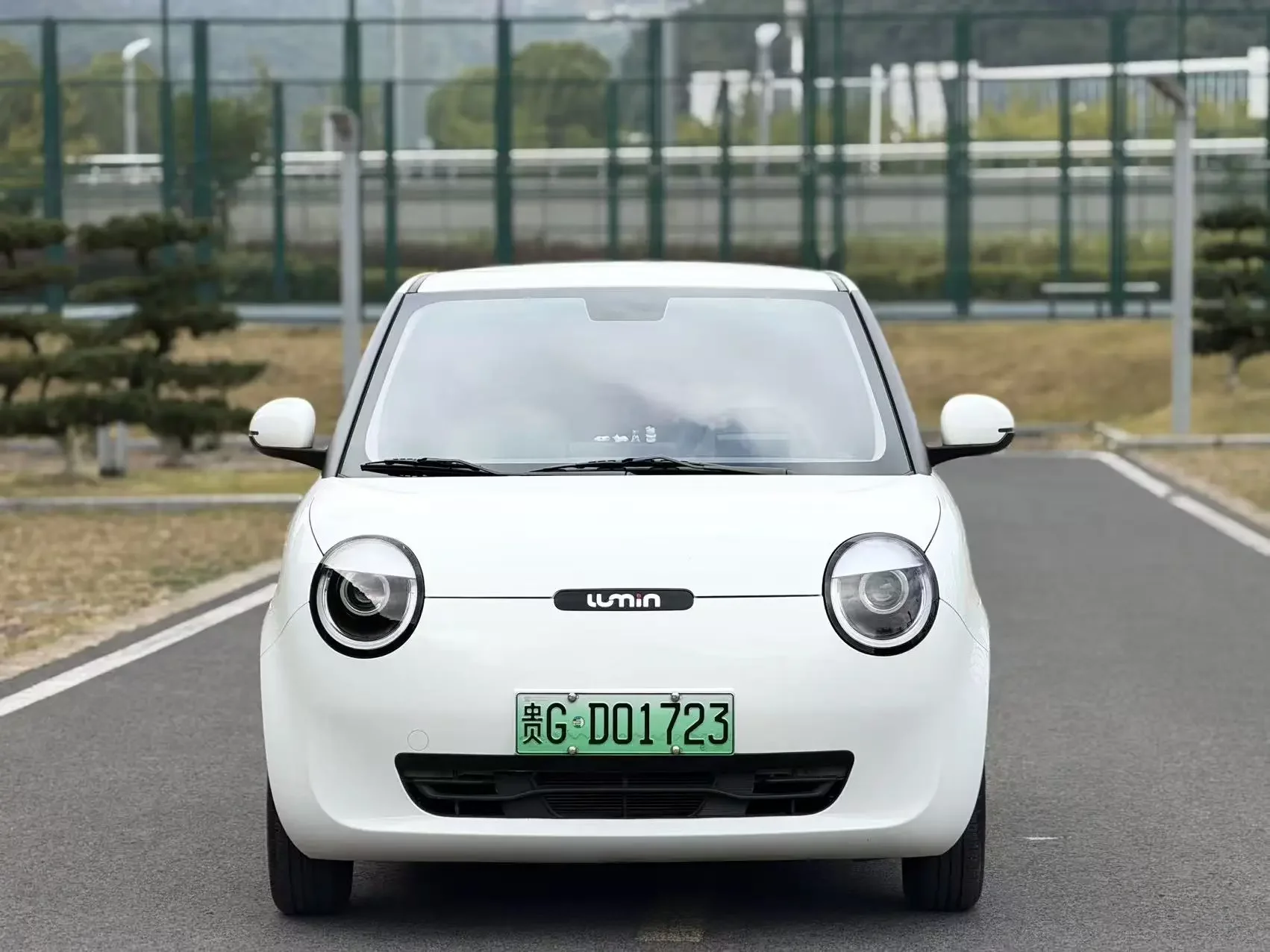 Changan Lumin