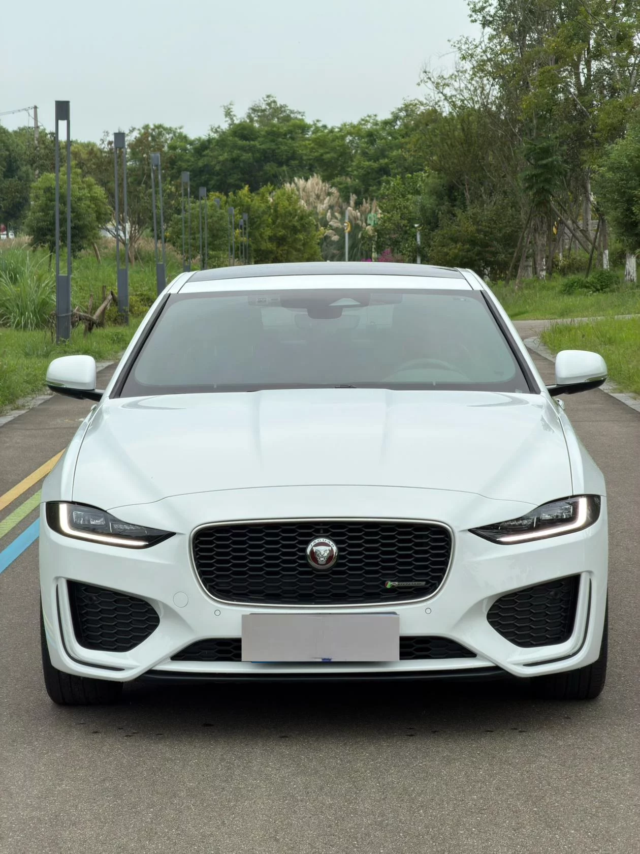 Jaguar XEL
