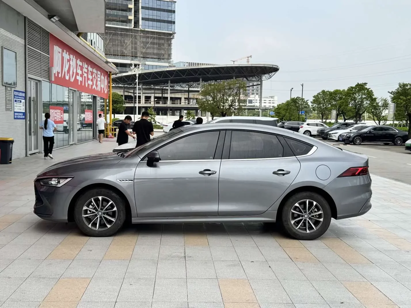 BYD Qin PLUS DM