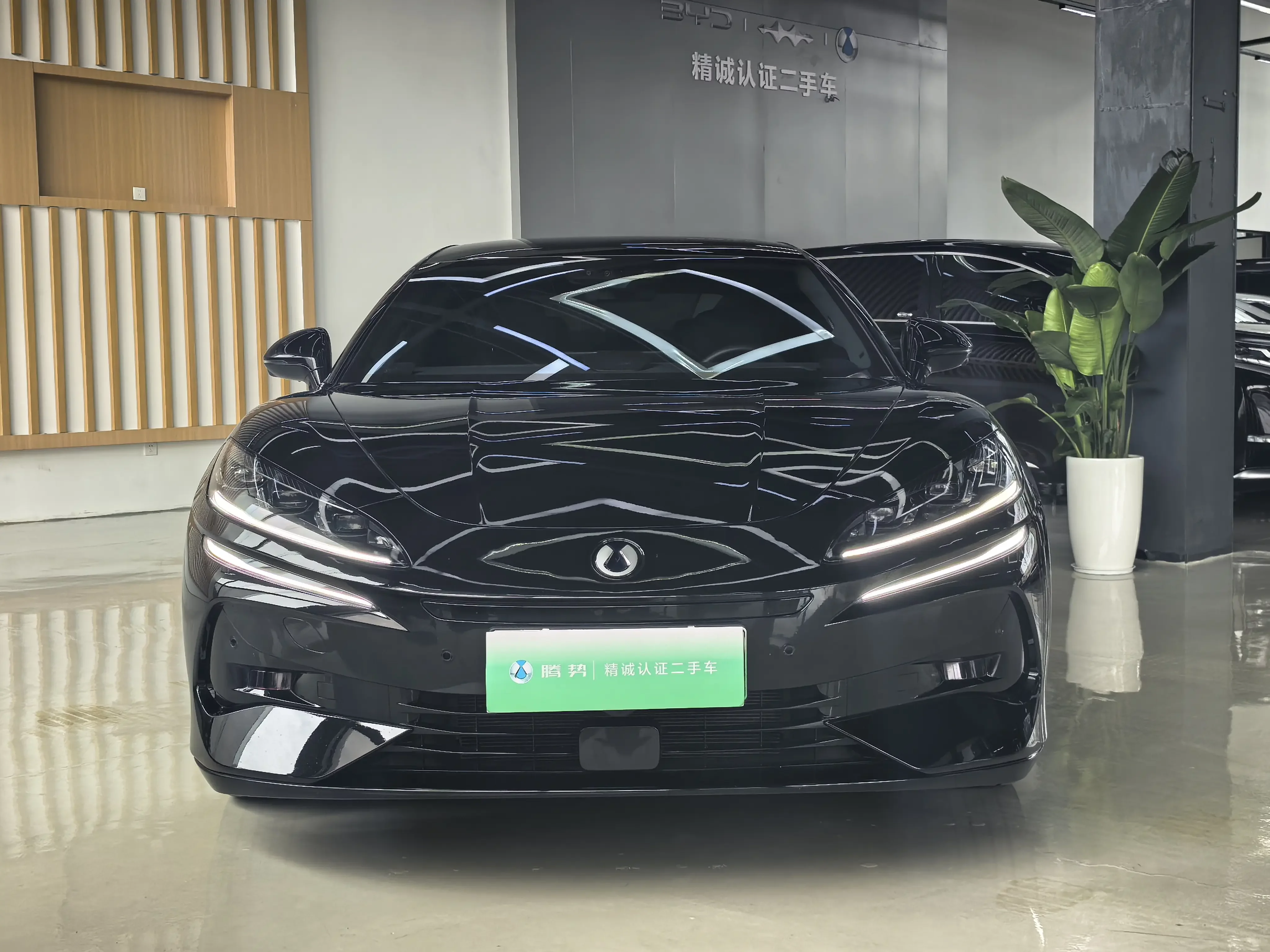 Denza Tengzhong Z9 DM