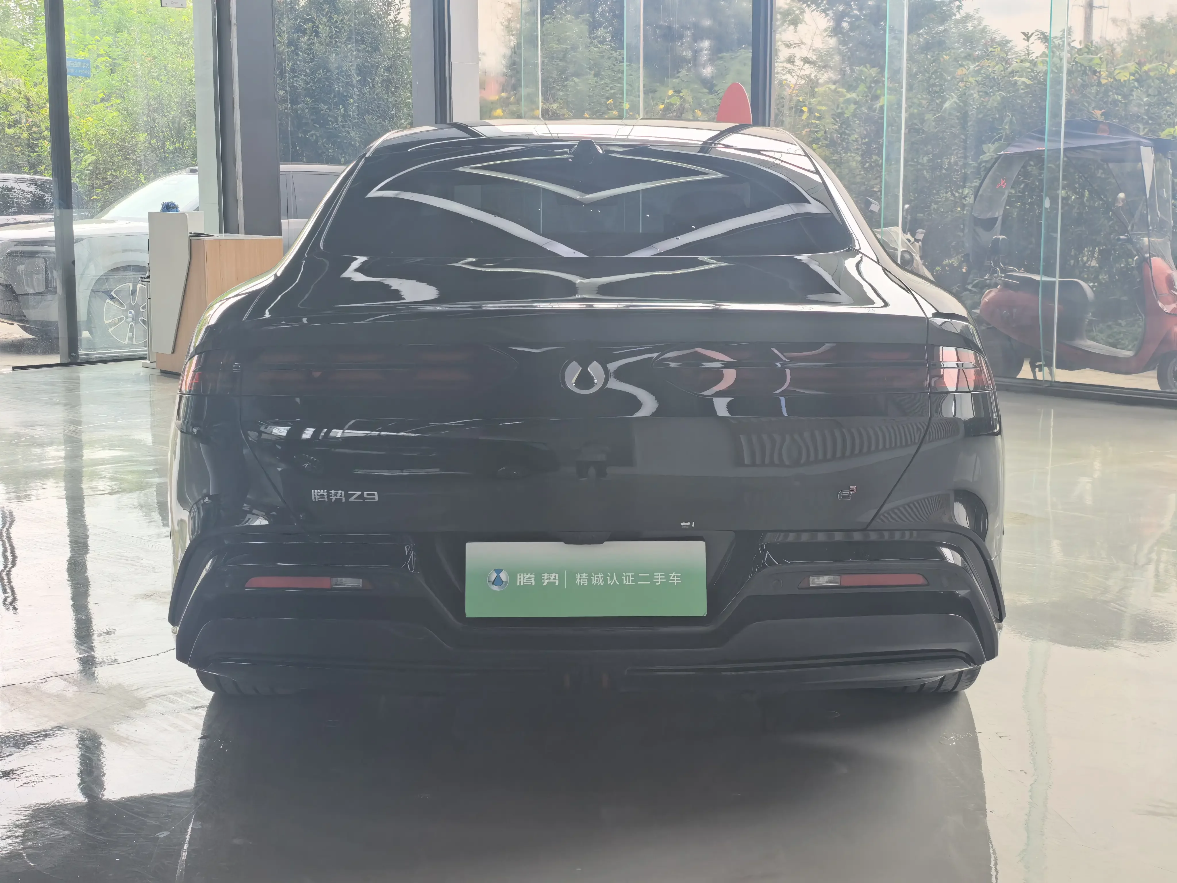 Denza Tengzhong Z9 DM