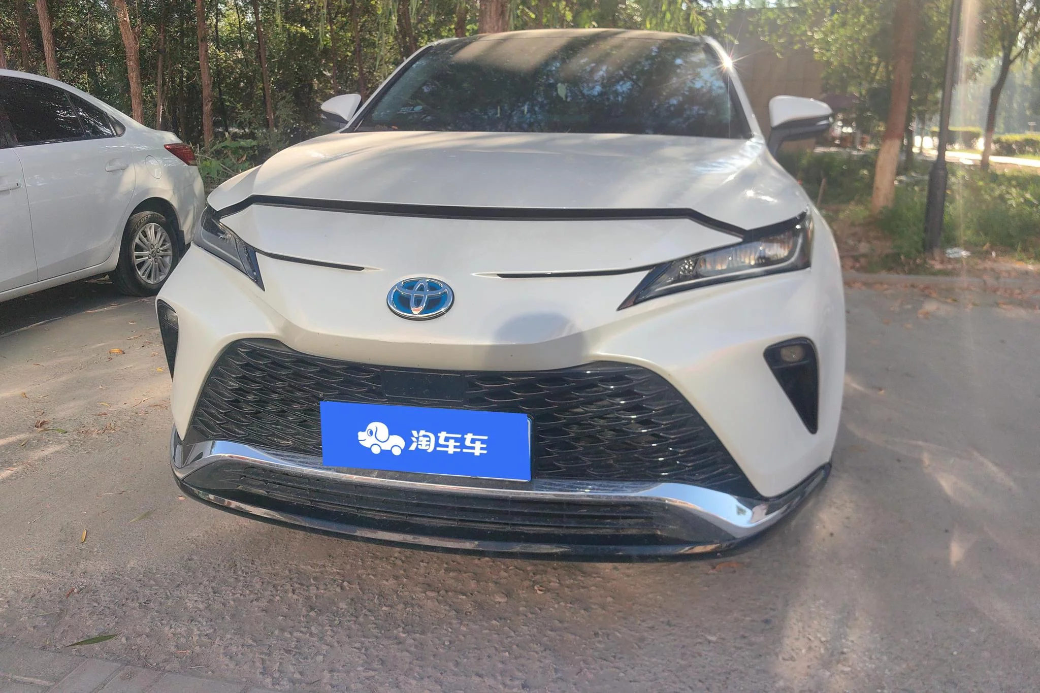 Toyota Venza