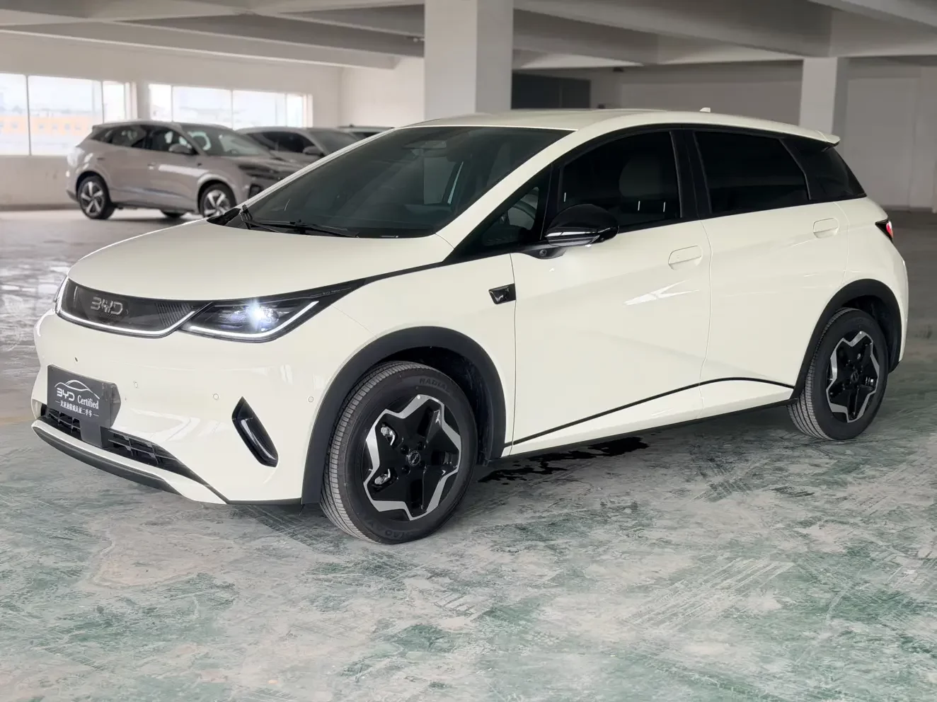 BYD Dolphin