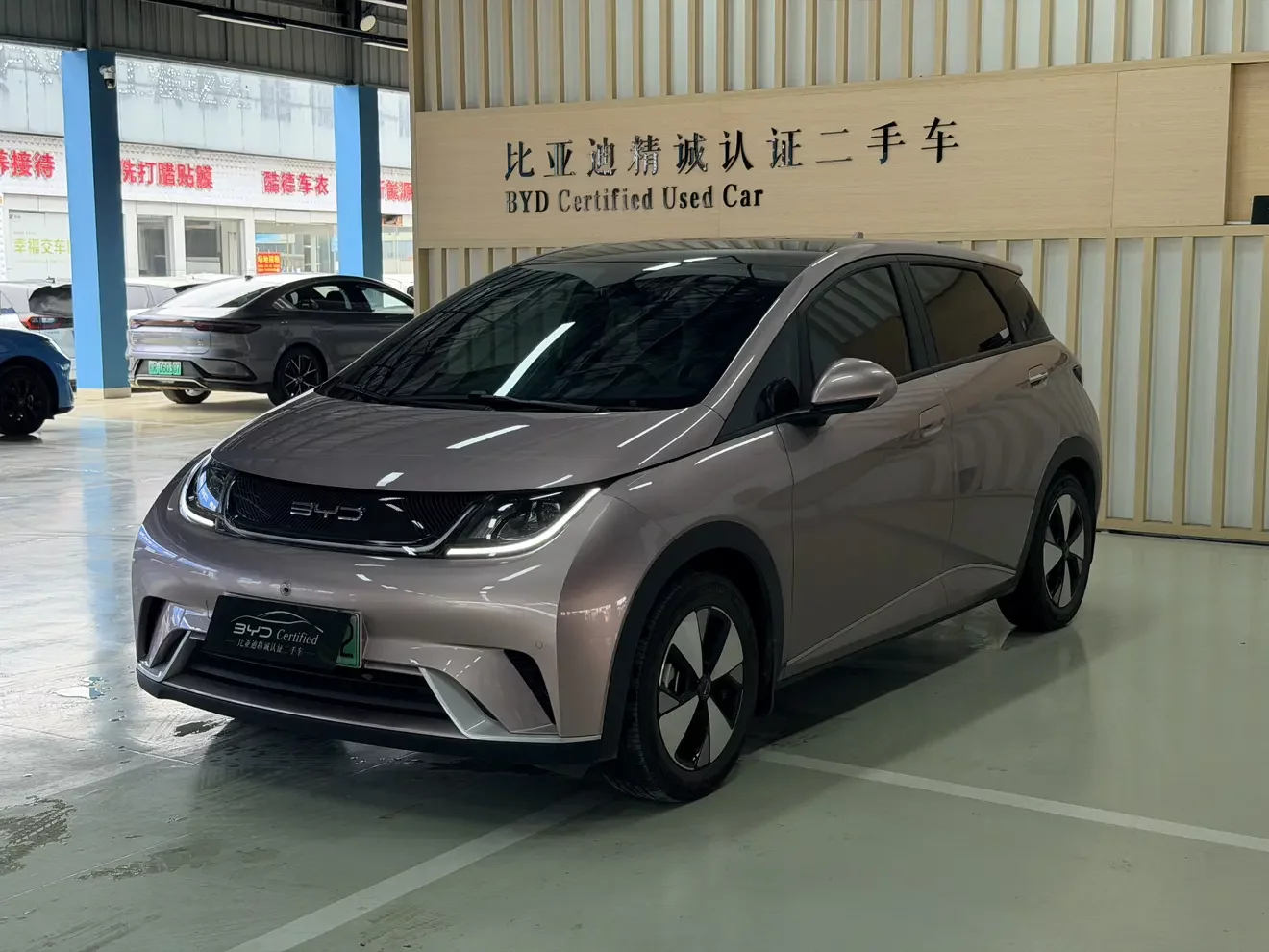 BYD DOLPHIN