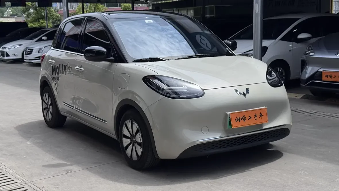 Wuling Bingo