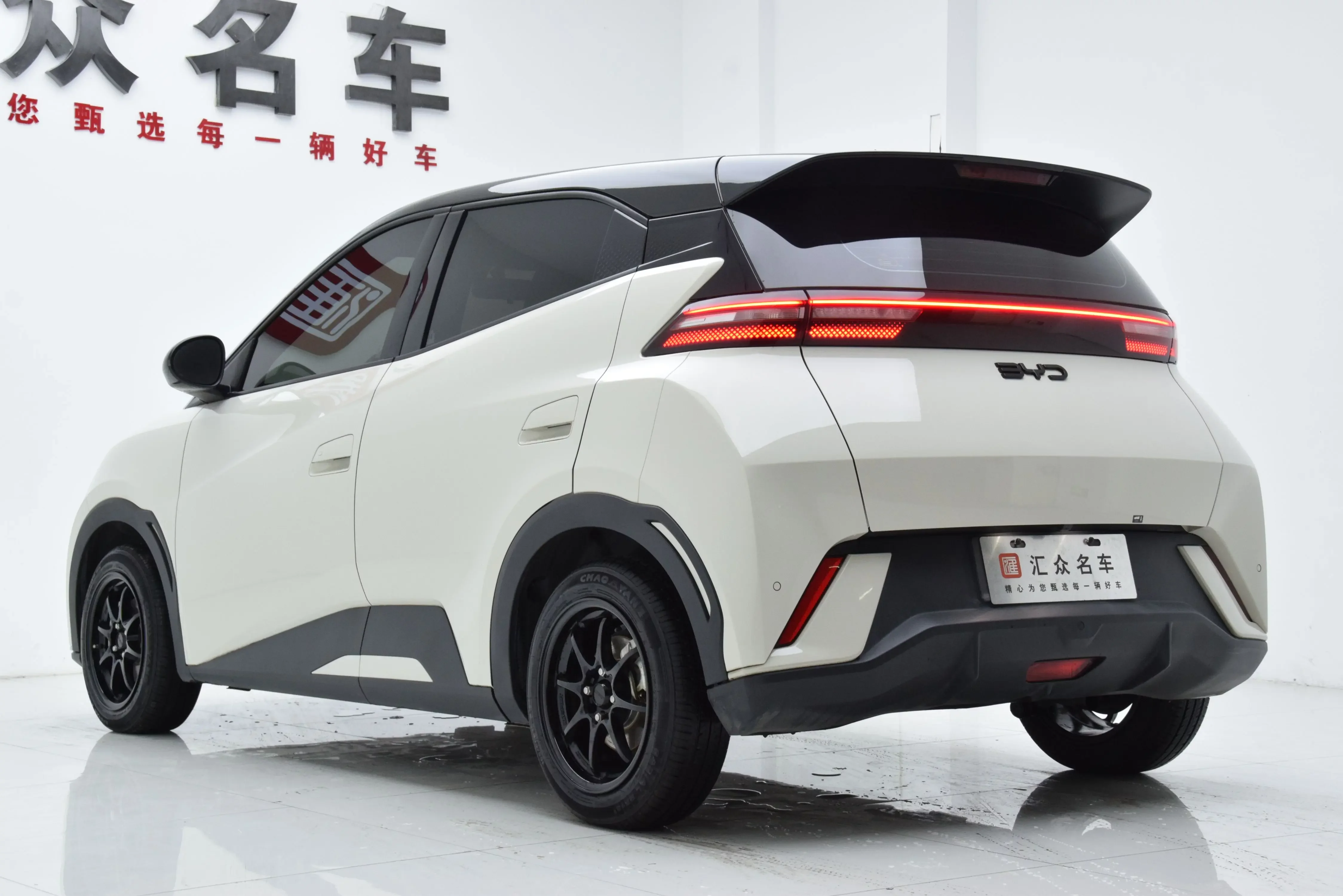 BYD Seagull