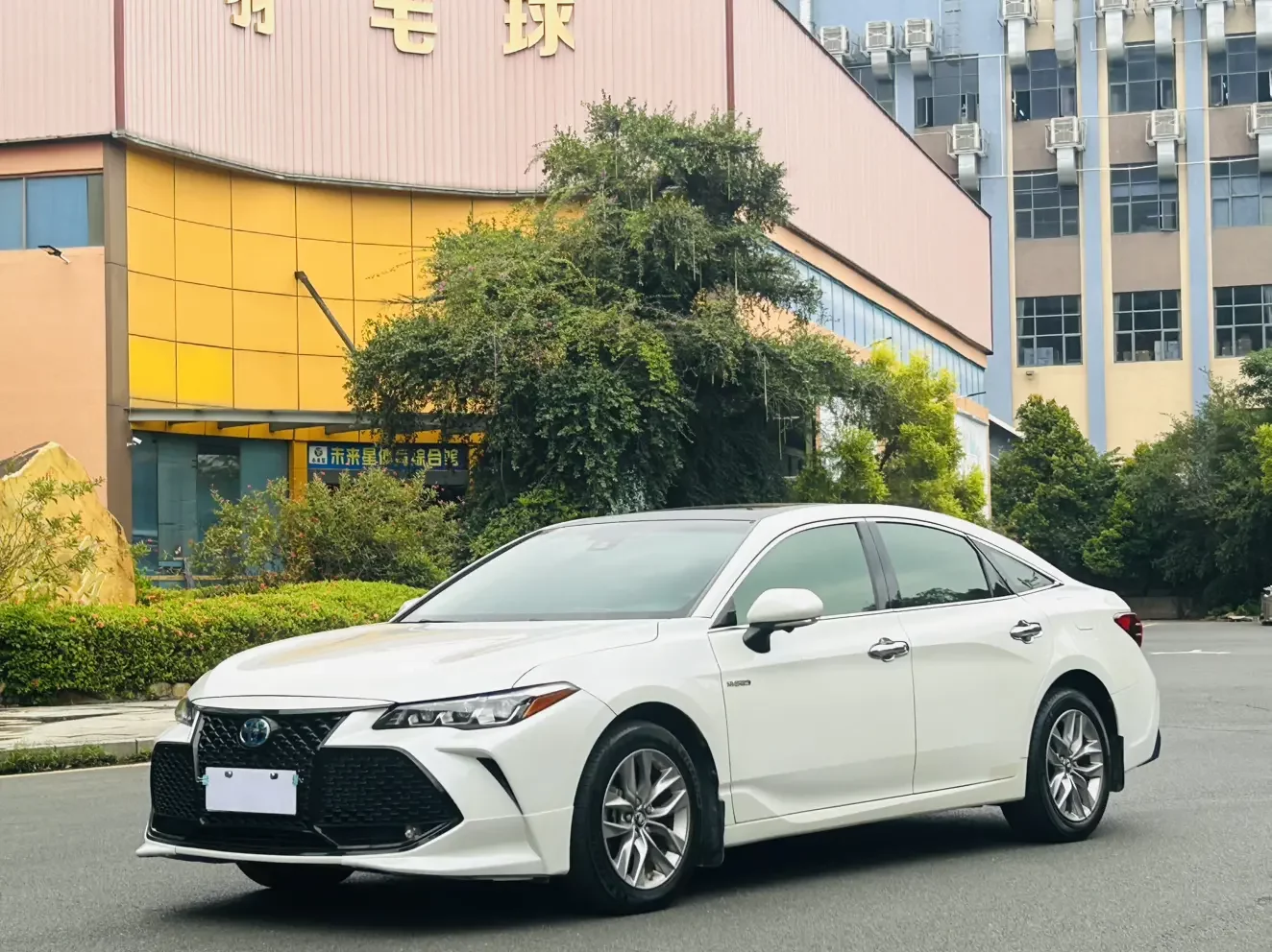 Toyota Avalon