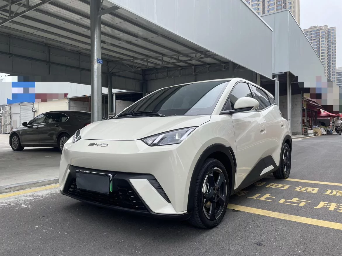 BYD Seagull