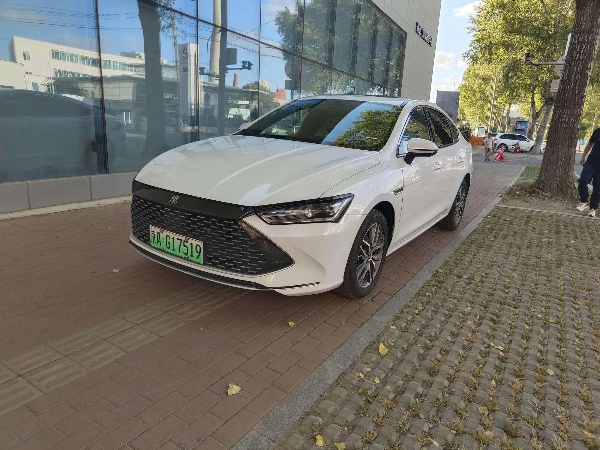 BYD Qin PLUS DM