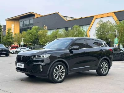 Wey Wei brand VV6